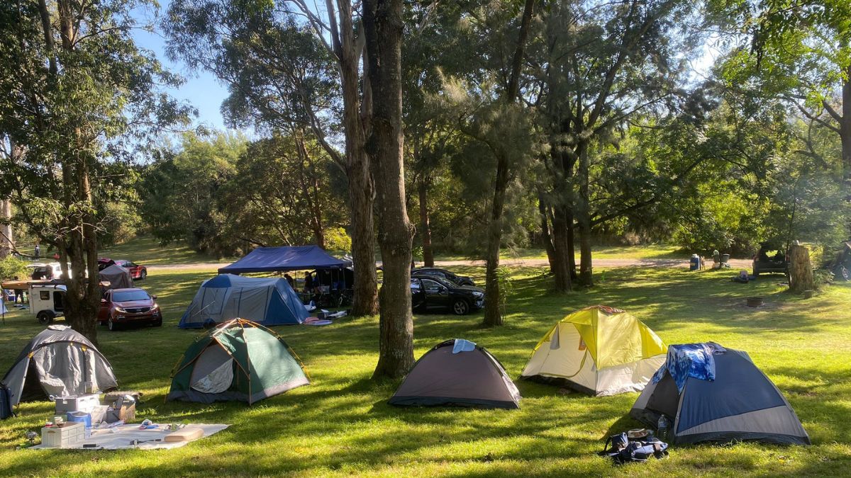 Families camping with tents, caravans and vehicles set up on a spacious grassy campground surrounded by tall gum trees on a sunny day.