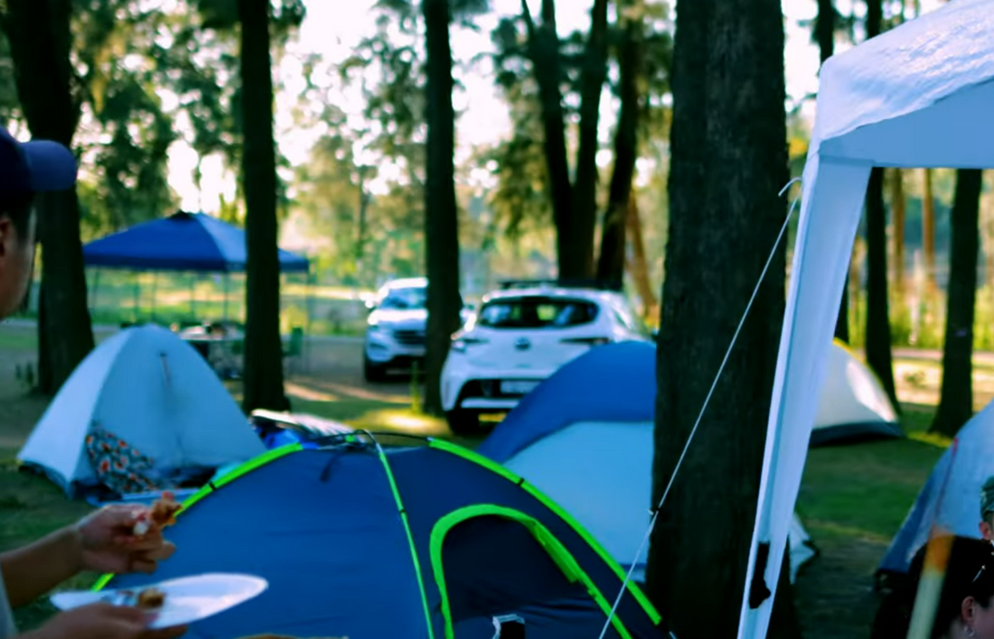 Group campsite at Cattai Campground in NSW with several tents set up beneath tall trees, cars parked nearby and campers relaxing together during a weekend camping trip.